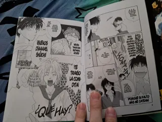 Gravitation 10 (Shojo Manga) (Spanish Edition)