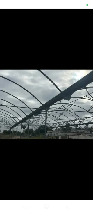 Arcos Invernadero Galvanizado 50mm Cali