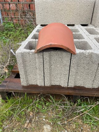 Teja árabe roja ancha