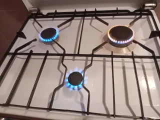 Cocina de gas Botano