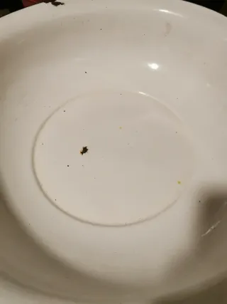 Jofaina de hierro esmaltado