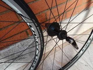 Ruote Fulcrum Racing 7 Sette