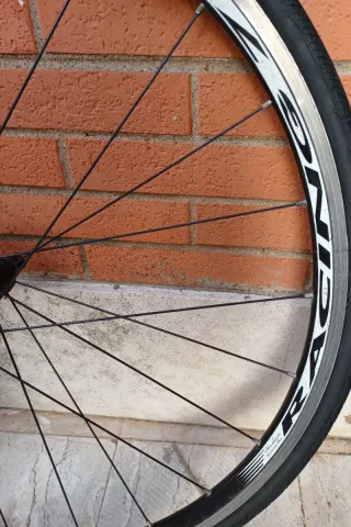 Ruote Fulcrum Racing 7 Sette