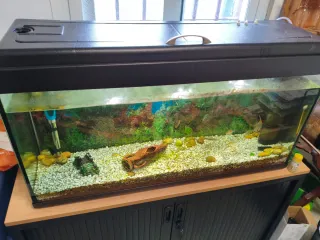 Acuario Negro y Transparente Tamaño 100x30x50