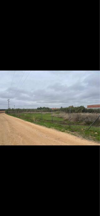Parcela rustica en cańada rosal a pie de carretera