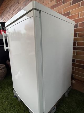 Frigorífico mini Liebherr SmartFrost 111L