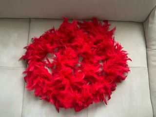 Guirnalda de plumas rojas