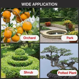 Mini Motosega Elettrica 4'' 48V Con Caricabatterie