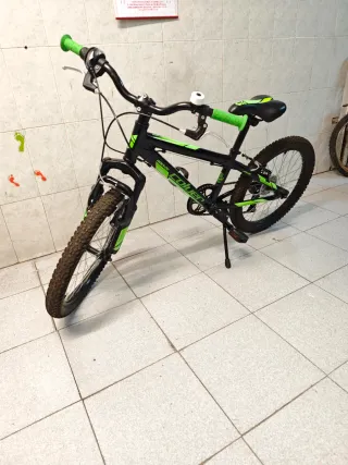 Coluer rider20