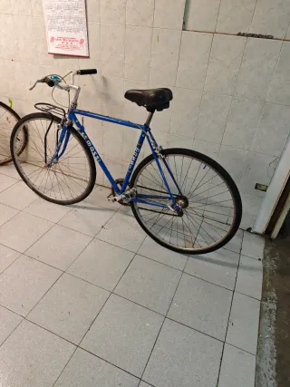 Fixie