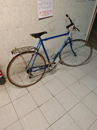 fixie