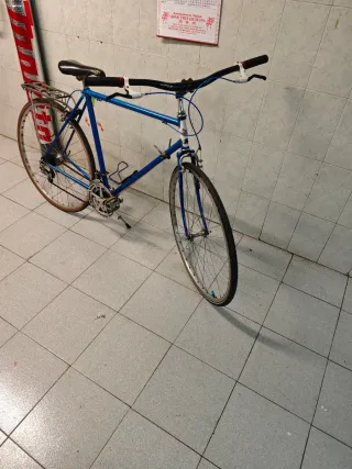 fixie