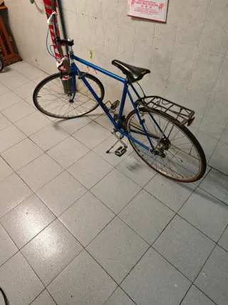 fixie