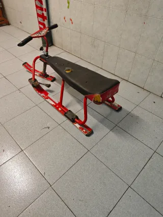 Trineo vintage salinas