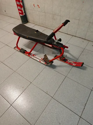 Trineo vintage salinas