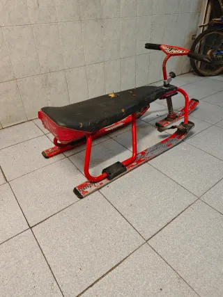 Trineo vintage salinas