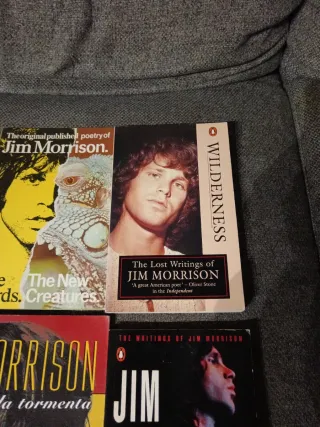 LOTE LIBROS THE DOORS JIM MORRISON