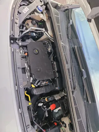 Citroen Berlingo agosto 2019