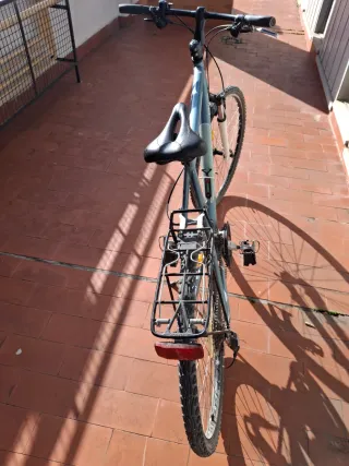 Bicicleta Riverside 3 Talla L
