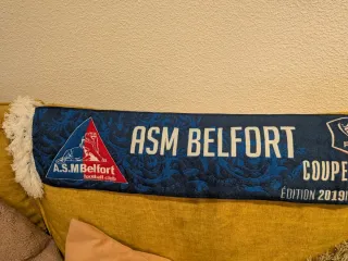 Bufanda Copa de Francia ASM Belfort Montpellier