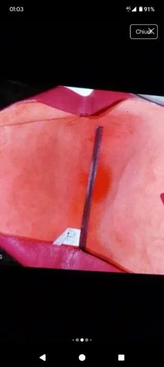 Borsa Trussardi donna borgogna