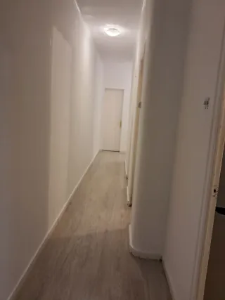 Servicio de pintura profesional