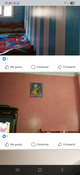 Servicio de pintura profesional