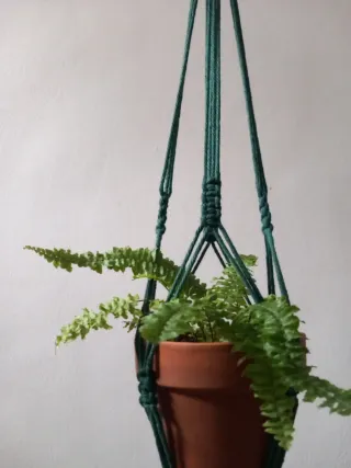 Colgador macramé verde y mostaza