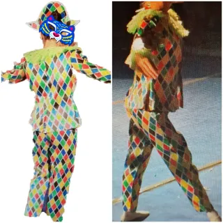Costume Arlecchino Carnevale