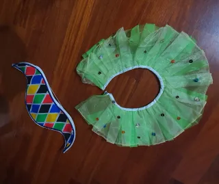 Costume Arlecchino Carnevale