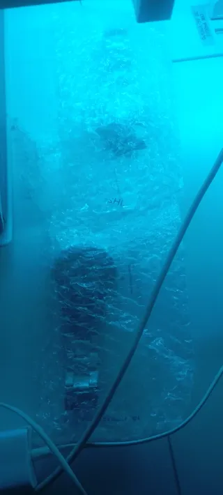 Reloj Geneva Negro y Plateado