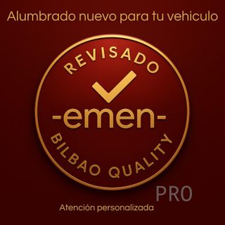 PILOTO TRASERO DERECHO FUME Renault MEGANE SCENIC (2003-2004)