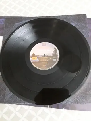 Dos discos de vinilo de Pink Floyd