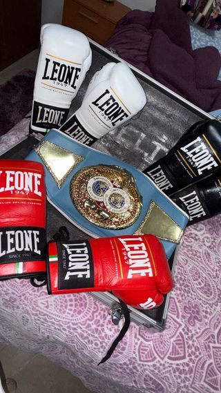 Guantes de Boxeo Leone 8 oz y 10 oz