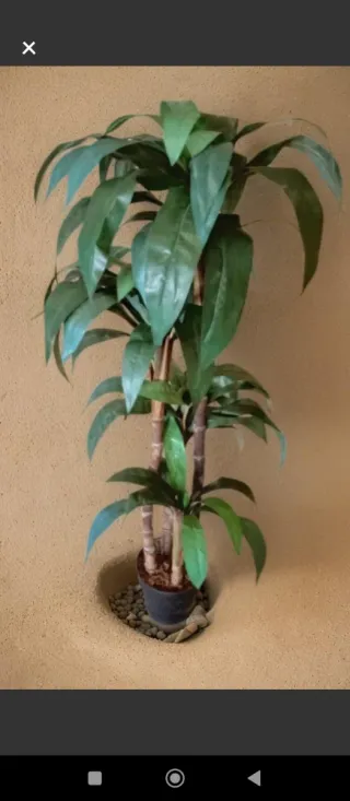 Planta Dracaena Artificial Decorativa 130cm