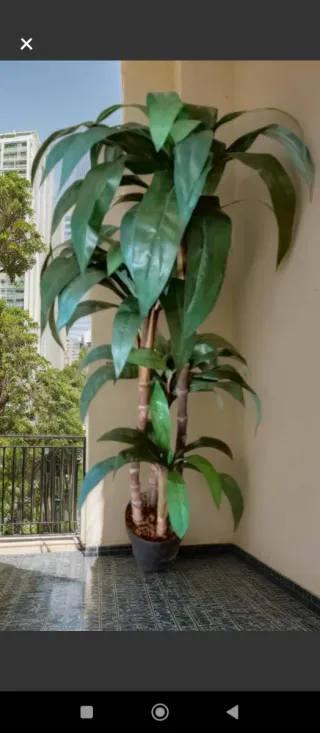 Planta Dracaena Artificial Decorativa 130cm