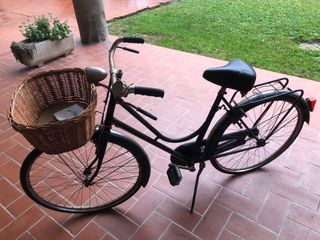 Bicicletta vintage con cestino
