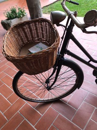 Bicicletta vintage con cestino