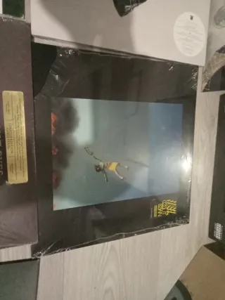 Lote Vinilos Nuevos Indie/Pop Rock