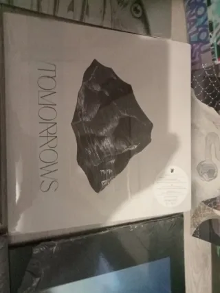 Lote Vinilos Nuevos Indie/Pop Rock