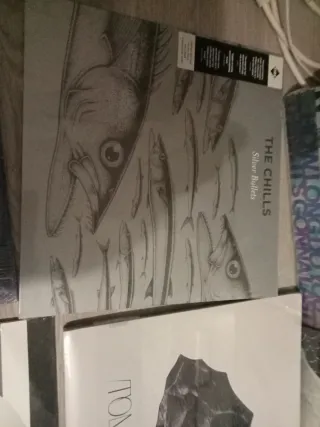 Lote Vinilos Nuevos Indie/Pop Rock