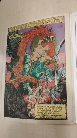 Cómic CONAN REY. Cómics Forum. Números 11 al 15