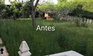 Servicio de jardinería