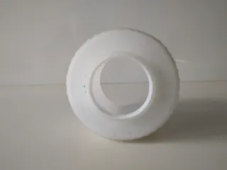 Tulipa Opalina Antigua