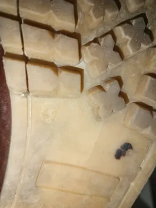 Nauticos de hombre marrones