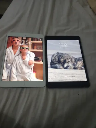 2 iPads Apple (Gris y Plateado) 30€ cada una