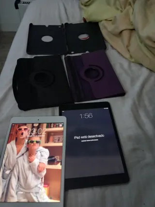 2 iPads Apple (Gris y Plateado) 30€ cada una