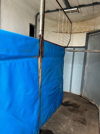 Remolque caballos doble pesado