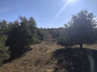 Terreno en venta en Borges Blanques, Les