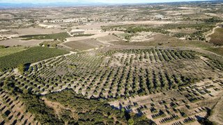 Terreno en venta en Borges Blanques, Les